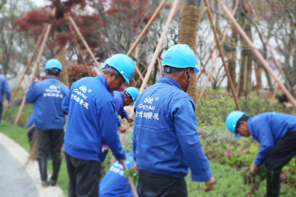 永利集团·yl8cc(中国游)官方网站