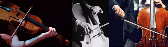 永利集团·yl8cc(中国游)官方网站