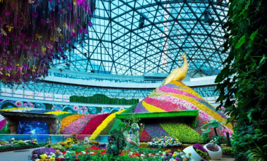 永利集团·yl8cc(中国游)官方网站