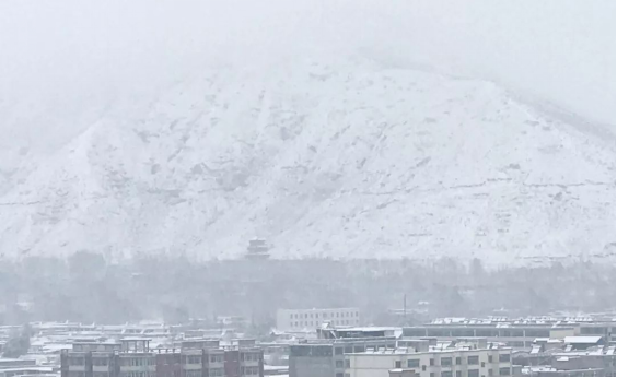 永利集团·yl8cc(中国游)官方网站