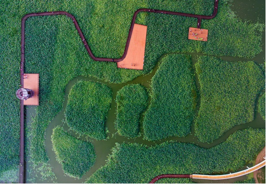 永利集团·yl8cc(中国游)官方网站