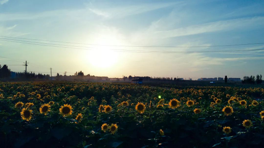 永利集团·yl8cc(中国游)官方网站