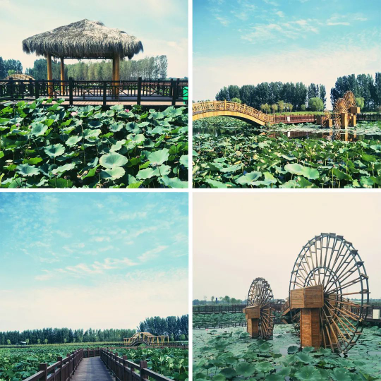 永利集团·yl8cc(中国游)官方网站