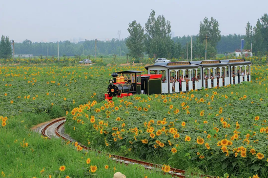 永利集团·yl8cc(中国游)官方网站