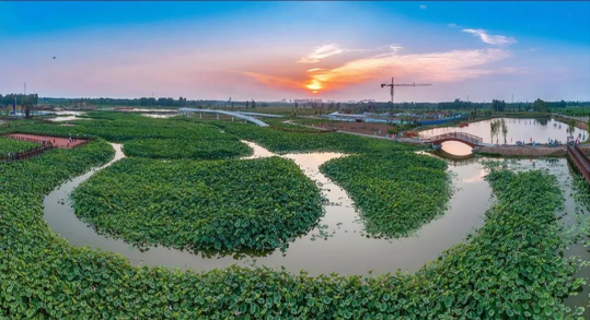 永利集团·yl8cc(中国游)官方网站