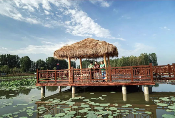 永利集团·yl8cc(中国游)官方网站