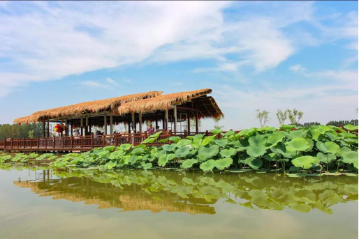 永利集团·yl8cc(中国游)官方网站