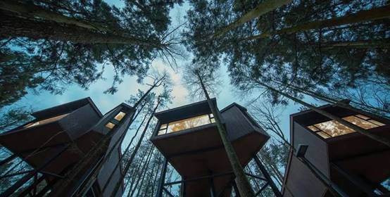 永利集团·yl8cc(中国游)官方网站